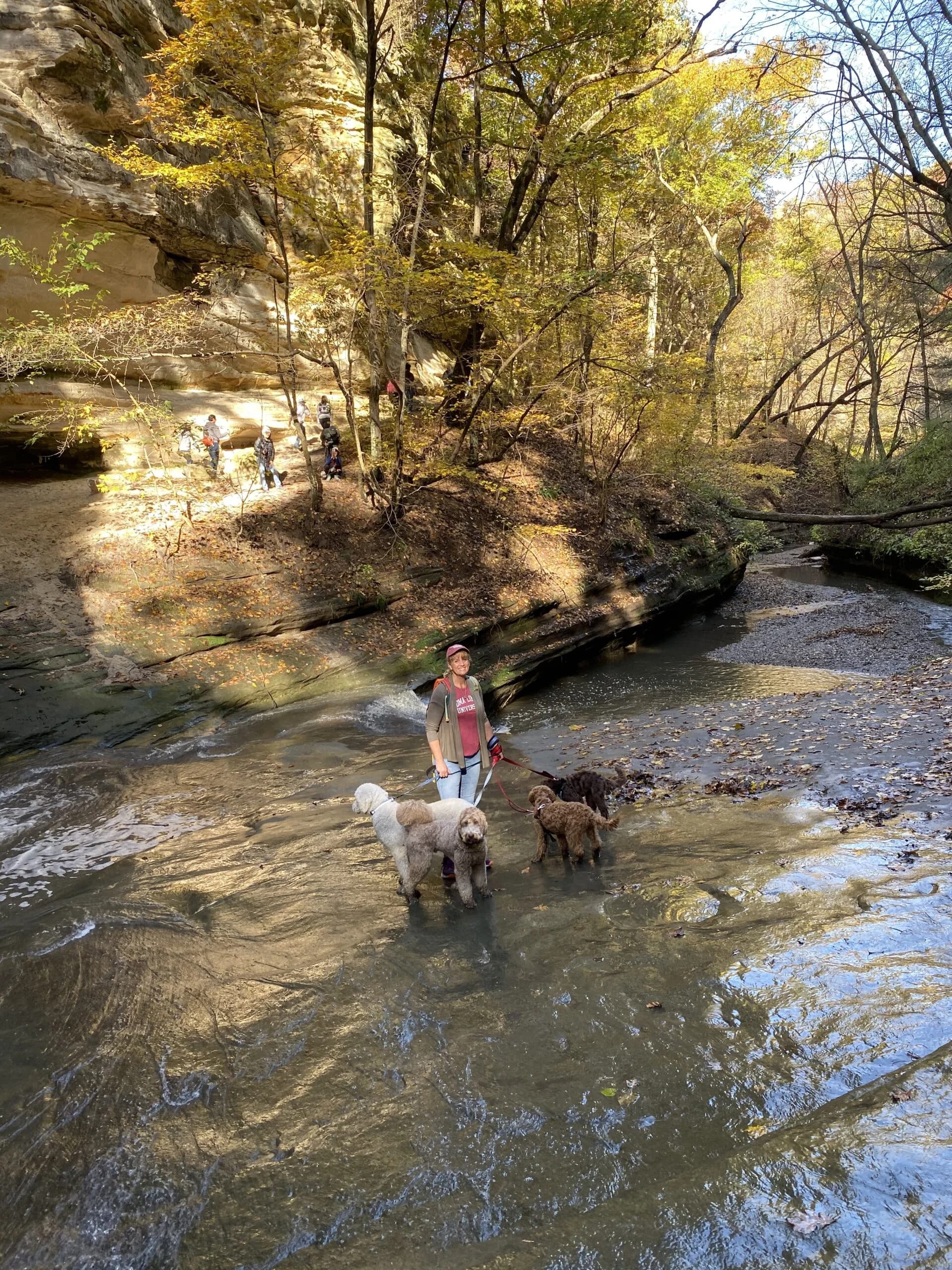 The Bautz family and their Best Life dogs