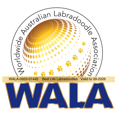 WALA