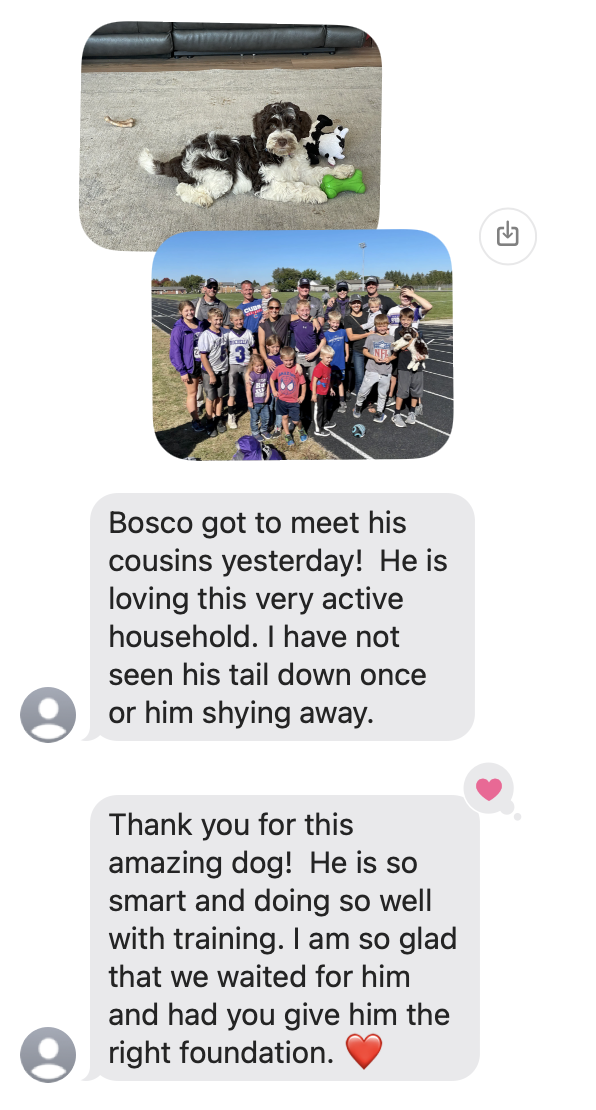 Bosco: Tilly x Mojo