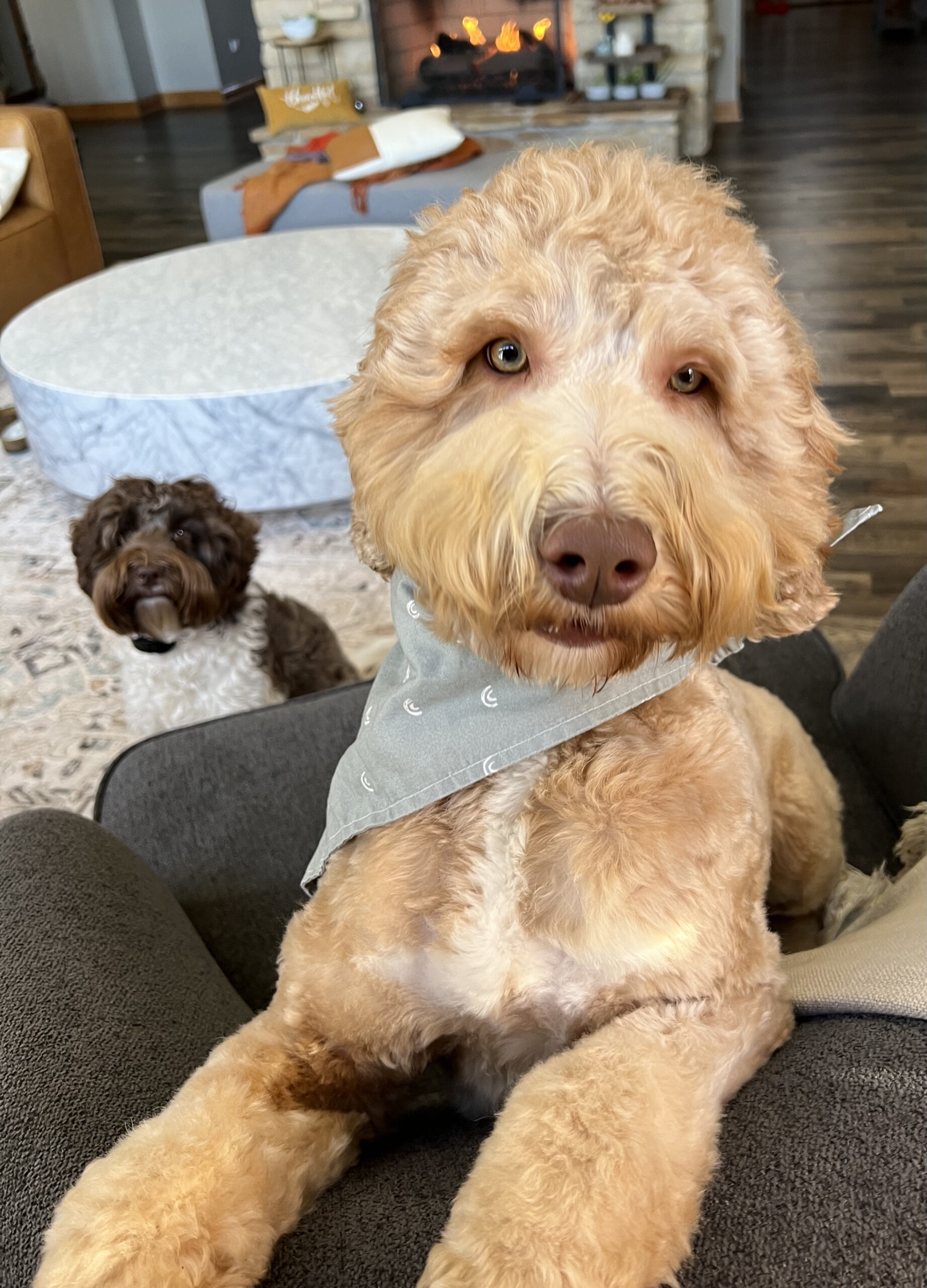 SOLD: Breezy (now Maeve) is Living her Best Life in New York City, NY
