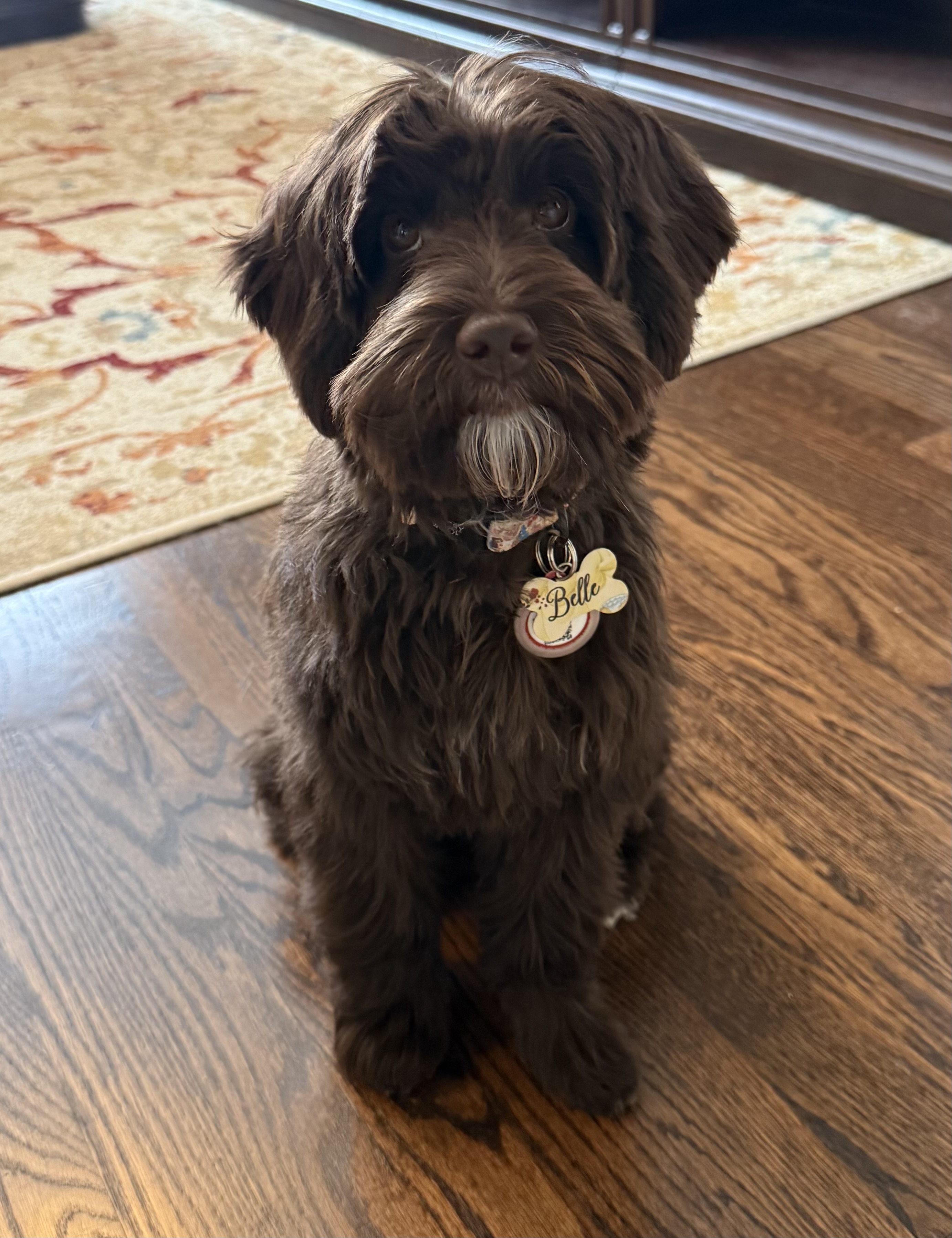 Belle (Gucci x Rocky)